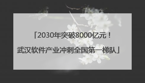 2030年突破8000亿元！武汉软件产业冲刺全国第一梯队