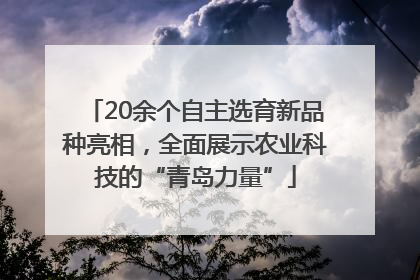 20余个自主选育新品种亮相，全面展示农业科技的“青岛力量”