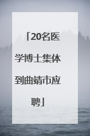 20名医学博士集体到曲靖市应聘
