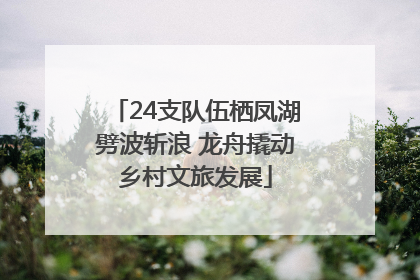 24支队伍栖凤湖劈波斩浪 龙舟撬动乡村文旅发展