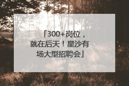 300+岗位，就在后天！星沙有场大型招聘会