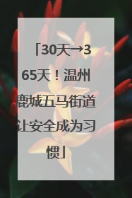 30天→365天！温州鹿城五马街道让安全成为习惯