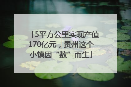 5平方公里实现产值170亿元，贵州这个小镇因“数”而生