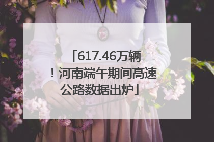 617.46万辆！河南端午期间高速公路数据出炉