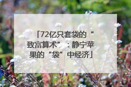72亿只套袋的“致富算术”：静宁苹果的“袋”中经济