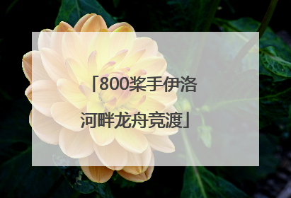 800桨手伊洛河畔龙舟竞渡