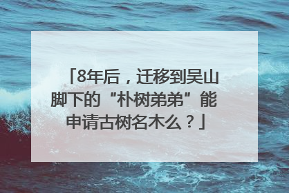 8年后，迁移到吴山脚下的“朴树弟弟”能申请古树名木么？