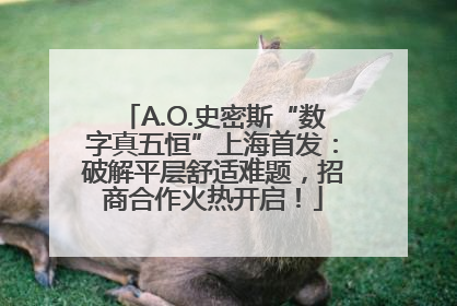 A.O.史密斯“数字真五恒”上海首发：破解平层舒适难题，招商合作火热开启！