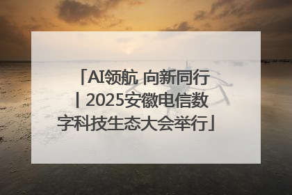 AI领航 向新同行丨2025安徽电信数字科技生态大会举行