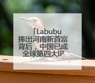 Labubu捧出河南新首富背后，中国已成全球第四大IP零售市场