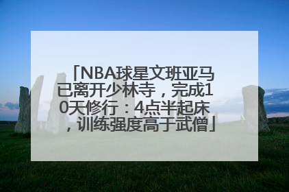 NBA球星文班亚马已离开少林寺，完成10天修行：4点半起床，训练强度高于武僧